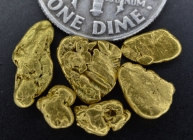 3.20 Grams (6) Oregon Gold Nuggets